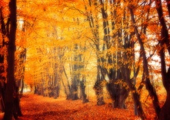 Bright Autumn Colors