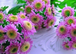 Pink  flowers