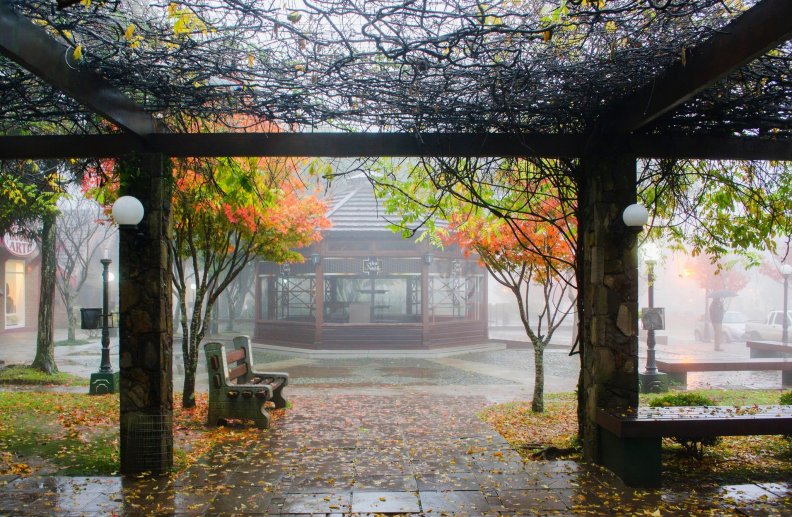 rainy_autumn.jpg