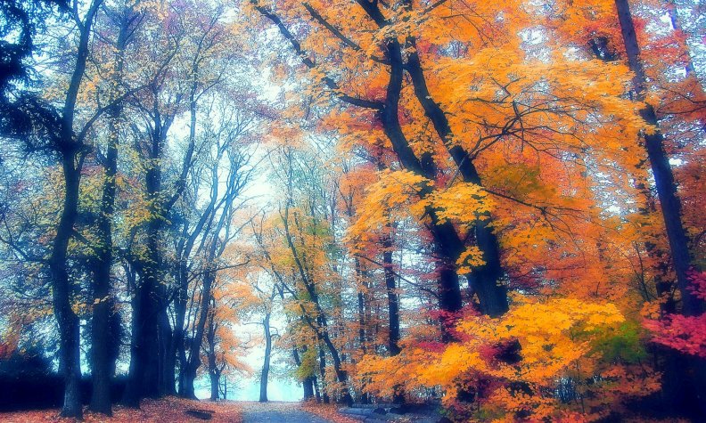 beauty_autumn.jpg