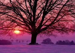 Beautiful Winter Sunset