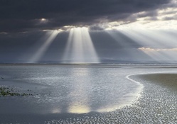 Sun rays in a beach