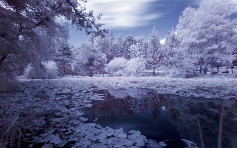 beautiful_winter.jpg
