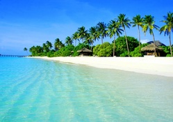 tropic beach