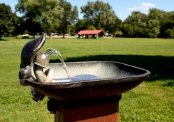 Park Water Fountain