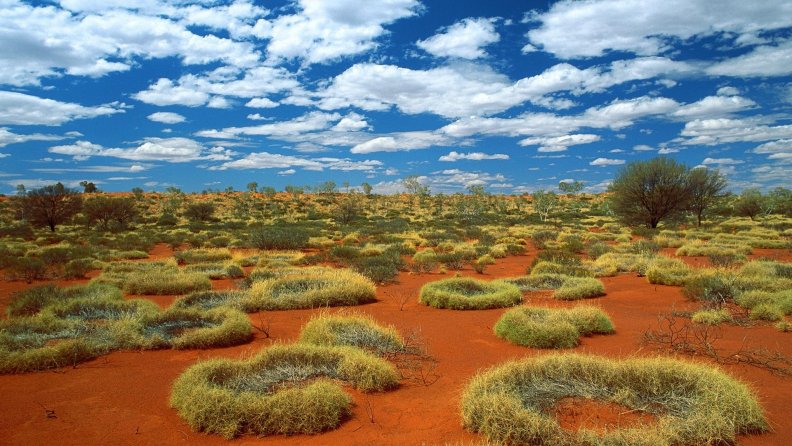 Sandy Desert in Australia