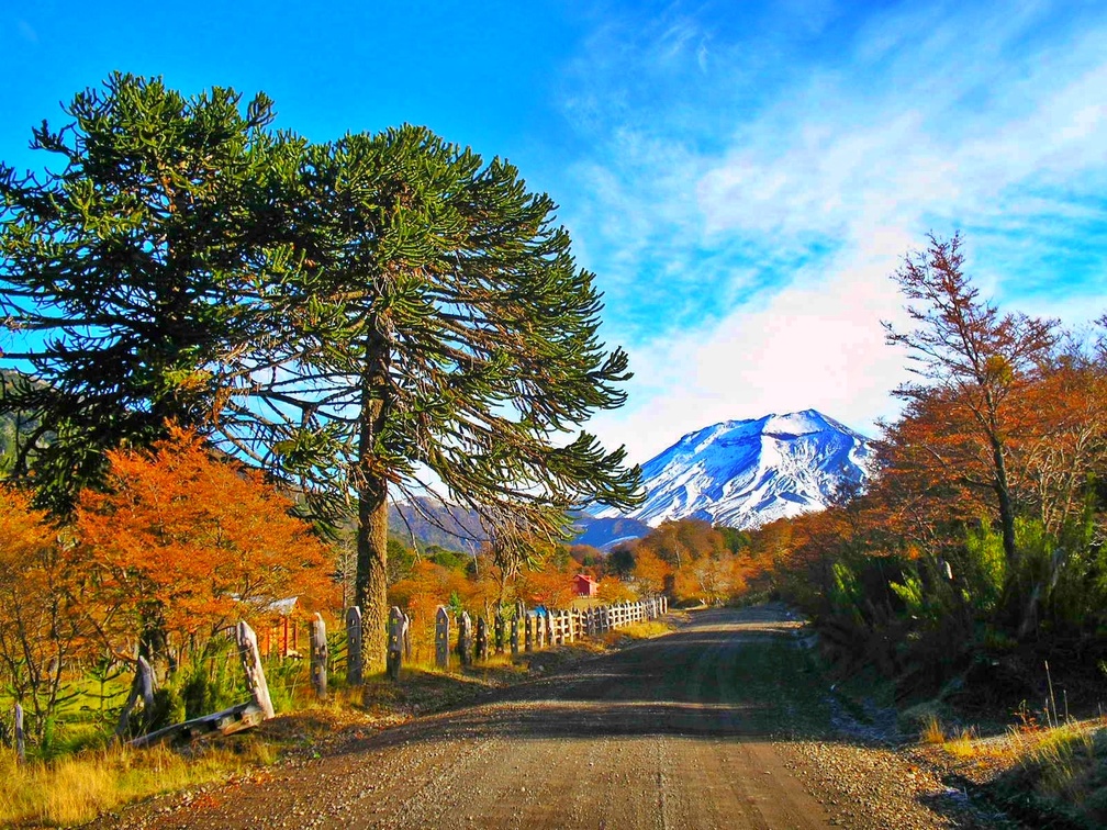 Road To Volcano Lonquimay, Chile