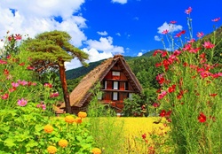 Beautiful mountain villa