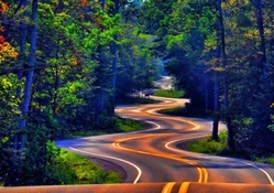 zigzag road in the forest