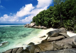 Seychelles Cove