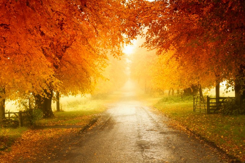 autumn_colors.jpg
