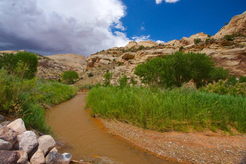 Brown Stream in Desert Wilderness, Utah