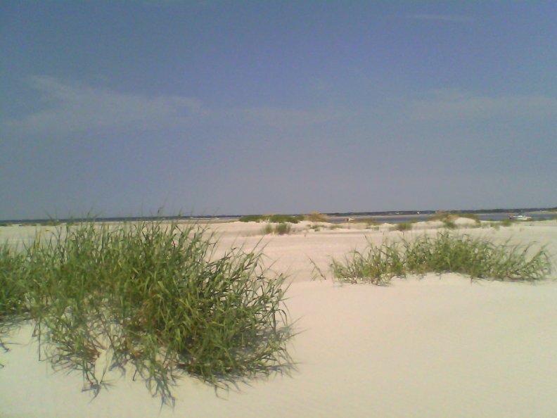 Sea Dunes