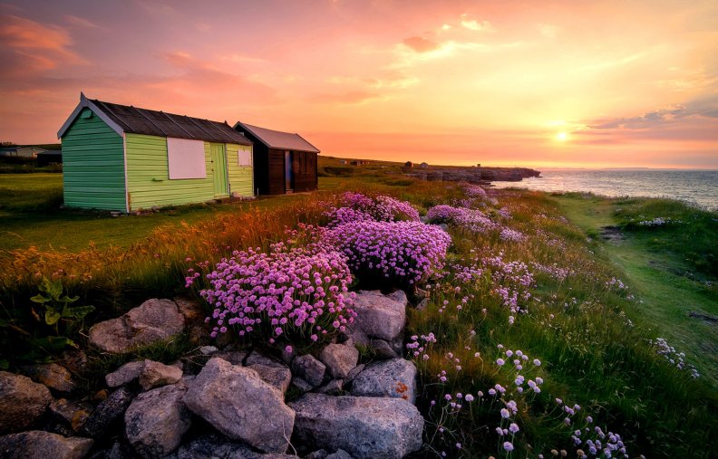 Flowers and huts in the sunrise