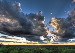 lovely sky over a vast forest hdr