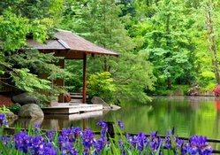 Pond tranquility