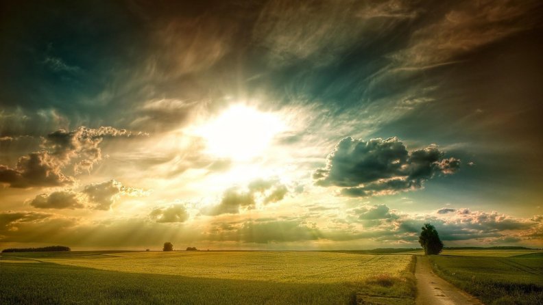 amazing_sun_rays_over_golden_wheat_fields.jpg
