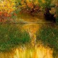 peaceful river in autumn