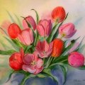 'Sweet Tulips'