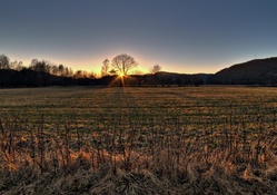 lovely sunrise over a rural field