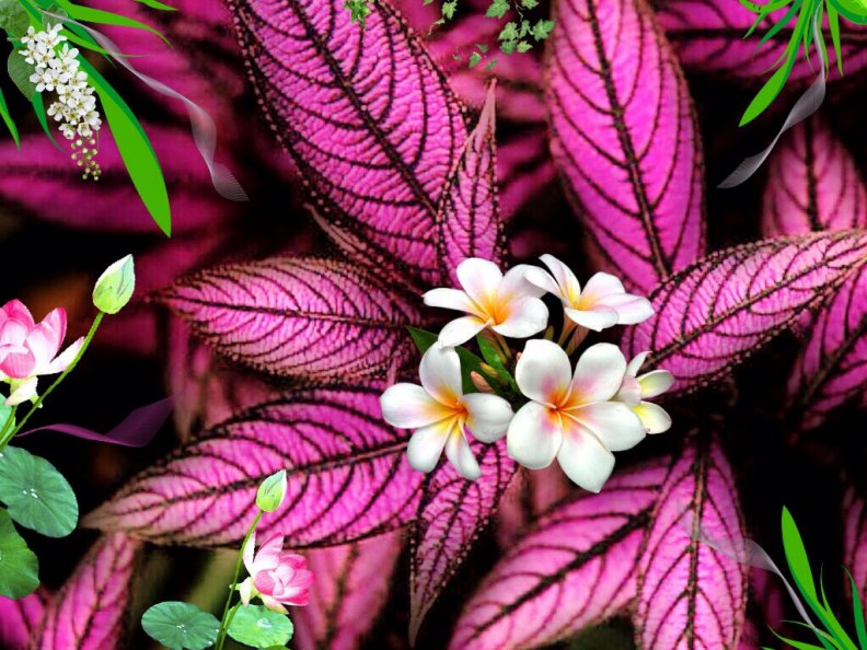 Pink Leaves With Mixed Flowers