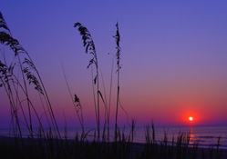 Sea and Sunset