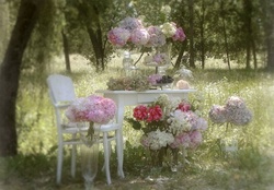 Tea Time with Flowers