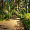 gorgeous mcclay gardens tallahassee florida hdr