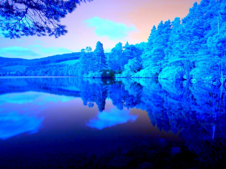 blue_forest_silent_lake.jpg