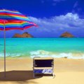 wonderful seat on a beach in hawaii
