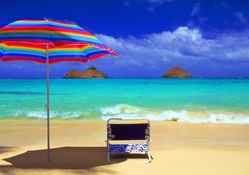 wonderful seat on a beach in hawaii