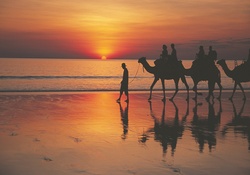 Riding camels into the sunset at beach