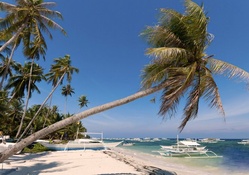 Boho Island, Philippines