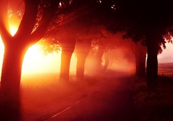 burning sunrise fog