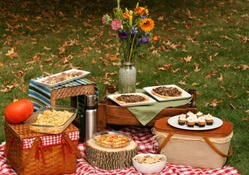 An autumn picnic