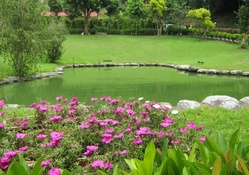 Lovely pond