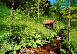 Small forest mill
