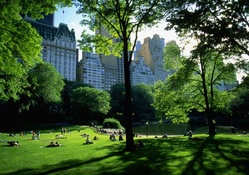 beautiful sunny day in central park nyc