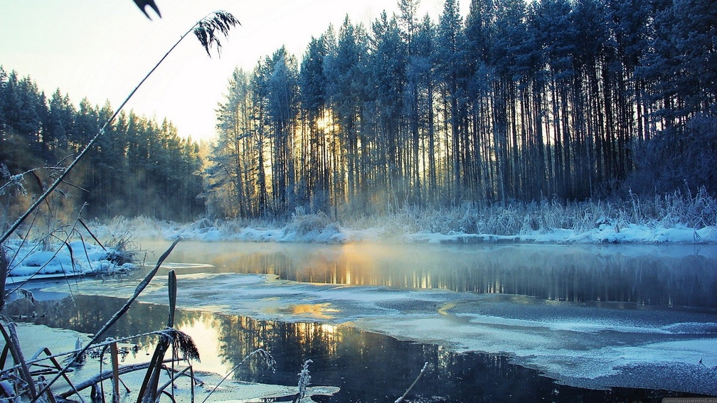 frozen river in morning fog