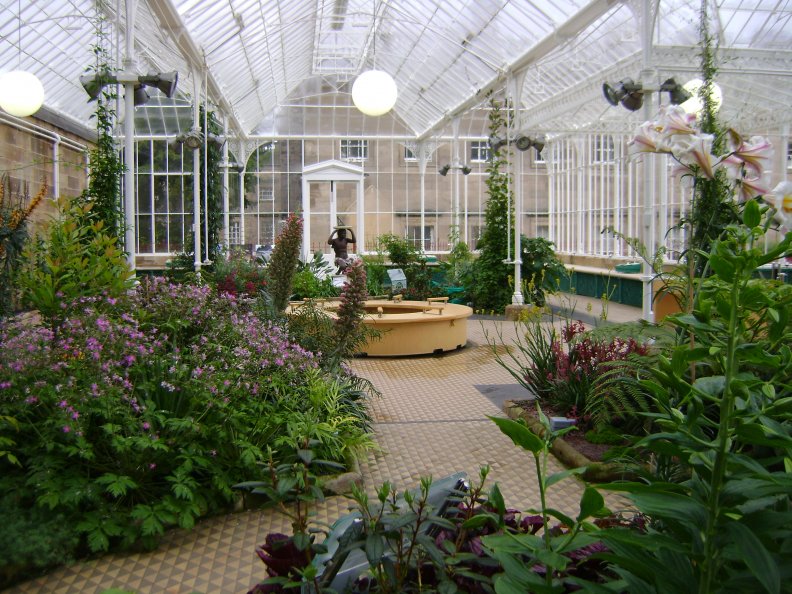 Flowers in a victorian conservatory