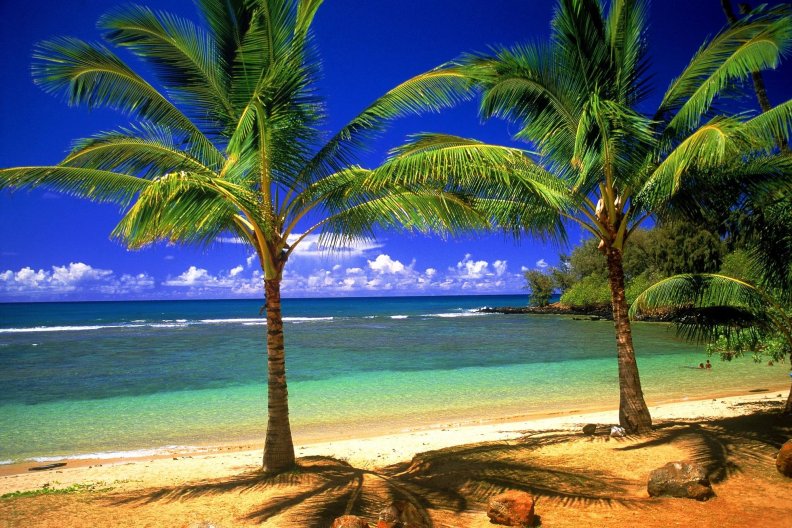 hawaiian_beach.jpg