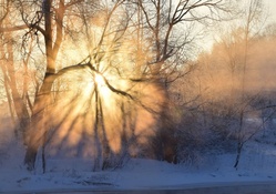 wonderful winter sunrise