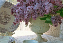 tea time with lilacs