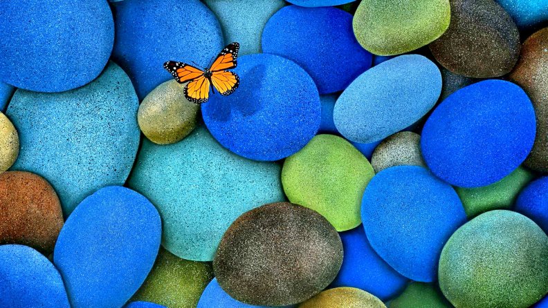 Butterfly in beautiful rocks