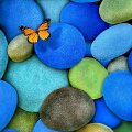 Butterfly in beautiful rocks