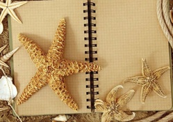Beachy Starfish Notepad