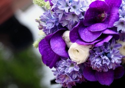 Purple floral design
