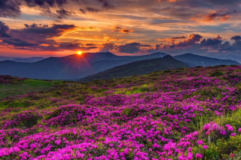 mountain_sunset.jpg