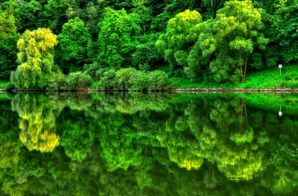 Green mirror of nature