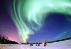 aurora borealis over a winter scene